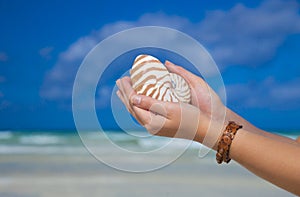 Girls hands holding nautilus shell against sea