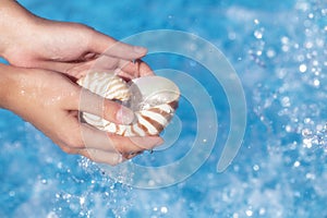 Girls hands holding nautilus shell full of water