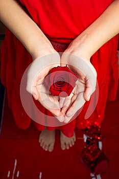 Girls hands holding a rose flower, woman first period health and gynecology . Menarche. First period party