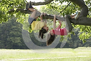 Girls Hanging Upside Down From Branch