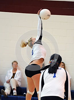 Girls High School Volleyball