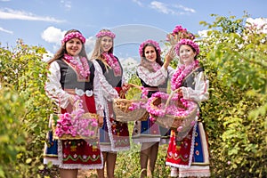 Girls picking Bulgarian pink roses