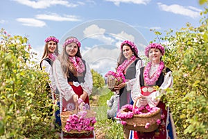 Girls picking Bulgarian pink roses