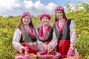 Girls picking Bulgarian pink roses in a garden