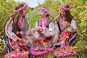 Girls picking Bulgarian pink roses in a garden