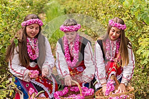 Girls picking Bulgarian pink roses in a garden