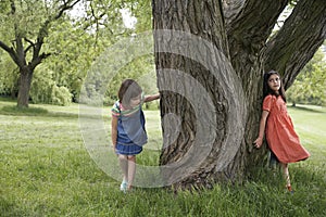 Girls Playing Hide And Seek By Tree photo