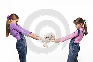 Girls pull teddy bear at each other on white background