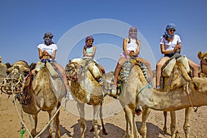 Girls riding camel, Egyptian desert