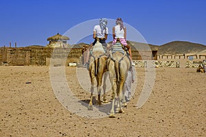 Girls riding camel, Egyptian desert