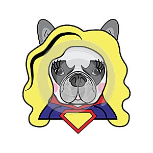 Girls room Kids style Cute French bulldog Female Dog Superhero Woman Comic book character vector in color