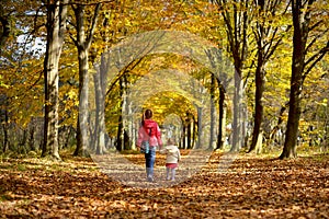 Girls-sisters walk in the forest Park in the autumn.