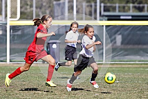 Girls Youth Soccer Football Players Running for the Ball