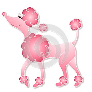 Girly Pink Poodle Walking