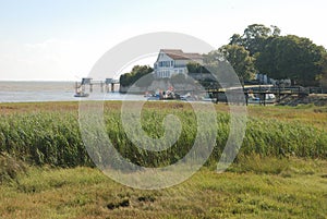 Gironde in Charentes