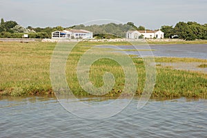 Gironde in Charentes