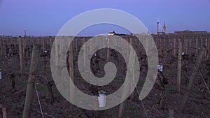 GIRONDE, POMEROL, WIND TURBINES ARE USED AS AIR STIRRERS IN VINEYARD DURING SUB-ZERO TEMPERATURES OF MARS 2021, BORDEAUX