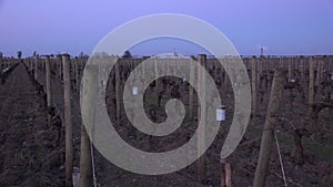 GIRONDE, POMEROL, WIND TURBINES ARE USED AS AIR STIRRERS IN VINEYARD DURING SUB-ZERO TEMPERATURES OF MARS 2021, BORDEAUX