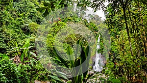 Git Git Tropical Waterfall, Bali