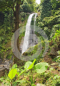 Git Git waterfall. Bali island.