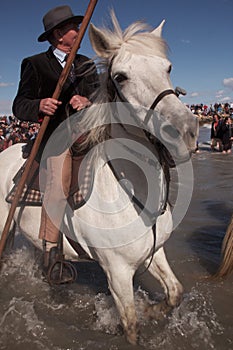 Gitan Pilgrimage, Camargue