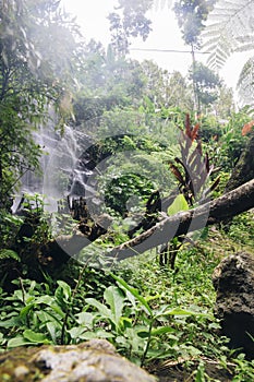 Gitgit waterfall at Bali, Indonesia