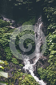 Gitgit waterfall at Bali, Indonesia