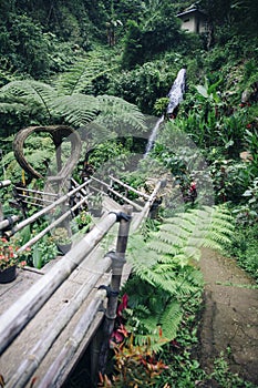 Gitgit waterfall at Bali, Indonesia