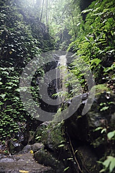 Gitgit waterfall at Bali, Indonesia