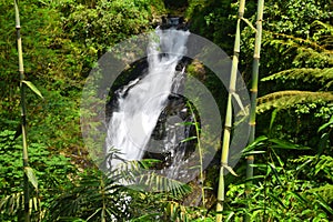 Gitgit waterfall at Singaraja regency of Bali - Indonesia