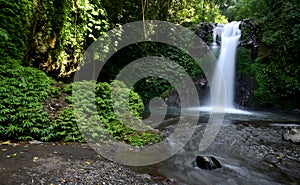 Gitgit waterfall at Singaraja regency of Bali - Indonesia