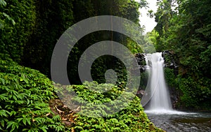 Gitgit waterfall at Singaraja regency of Bali - Indonesia