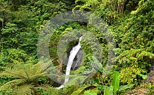 Gitgit waterfall at Singaraja regency of Bali - Indonesia