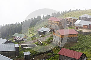 Gito Plateau view with foggy weather. Rize, Turkey.