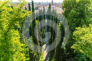 Giusti Garden in Verona, Italy