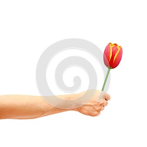 Give flower