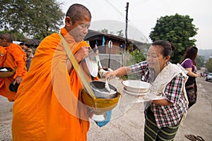 Give food offerings to a Buddhist monk in Morning