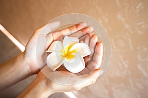 Give frangipani from two hand for love and peace