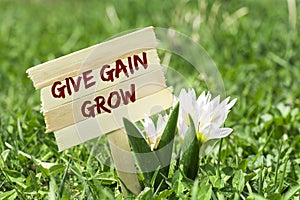 Give gain grow