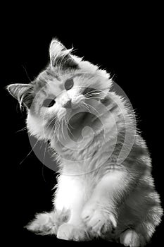 Give me five, brother