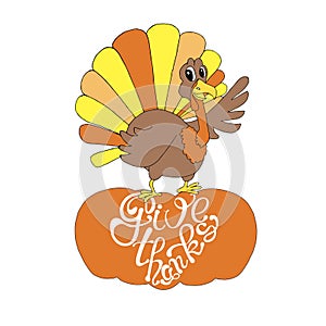 Give thanks lettering. Turkey on pumpkin. Cartoons funny orange brown banner for Thanksgiving day art design