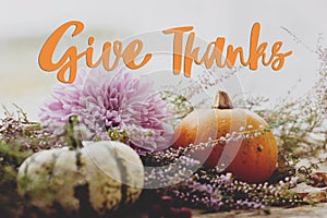 Give thanks text on pumpkins, purple dahlias flowers, heather on rustic old wood. Happy thanksgiving Seasonal greeting card,