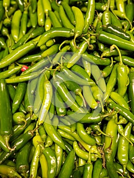 Bunch of shimmering serrano green peppers