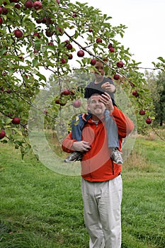 Giving the apple to daddy