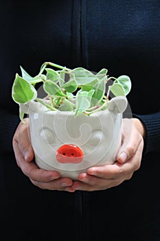 Giving Away Pig-Shaped Ceramic Flower Pot with Plant