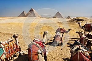 Giza pyramids, cairo, egypt photo