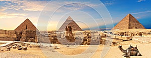 Giza Pyramids and Sphinx panorama with a camel lying by, Cairo, Egypt