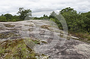 Glacial Bedrock and natural vegetation