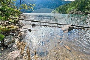 Glacial Black Lake surrounded by the forest