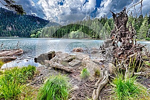 Glacial Black Lake surrounded by the forest